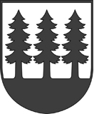 Mesto Detva